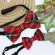 Plaid Red Kid Pre-Tied Bow Tie For 0-36 Months Old