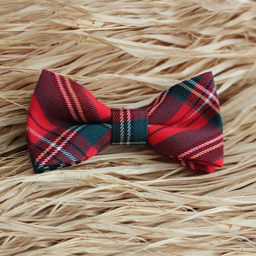 Men's Pre-Tied Bow Tie Red Checkered