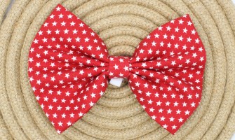 Red bow tie for your dog