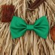 Green Kid Pre-Tied Bow Tie For 2-6 Years Old