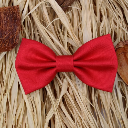 Red Kid Pre-Tied Bow Tie For 7-14 Years Old