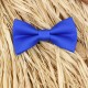 Blue Electric Kid Pre-Tied Bow Tie 7-14 Years Old
