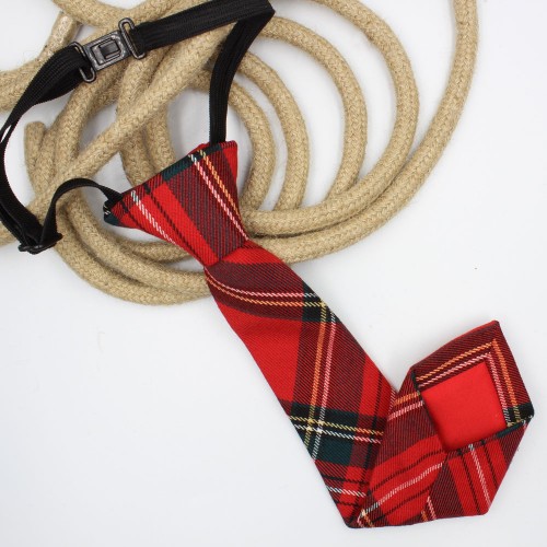 Childish Elegance: The Tie with a Touch of Tartan